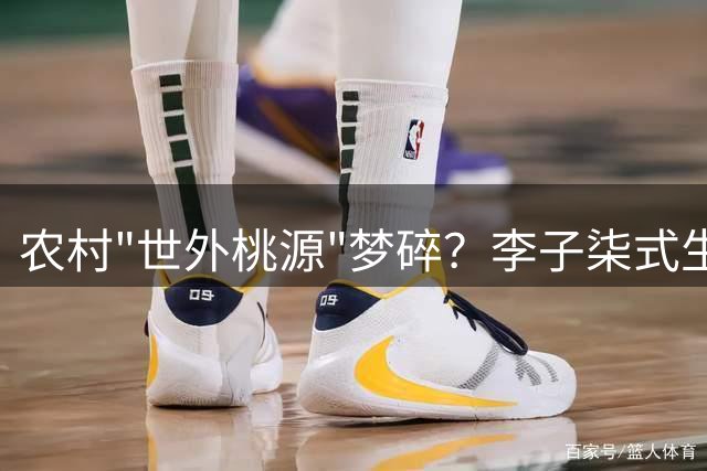 农村"世外桃源"梦碎？李子柒式生活真相揭秘